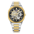 Silver Gold Black