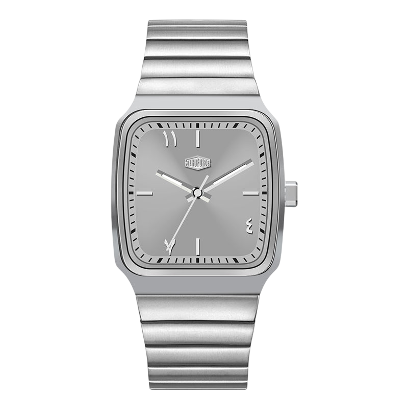 silver dial steel watch