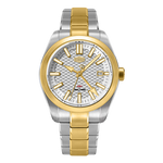 silver dial watch face