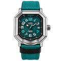 Silver Teal